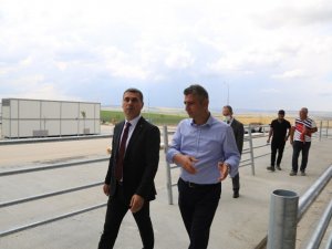 Gölbaşı’nda kurban satış ve kesim tesisi açılıyor