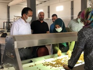 Dağtekin, OSB’de incelemelerde bulundu