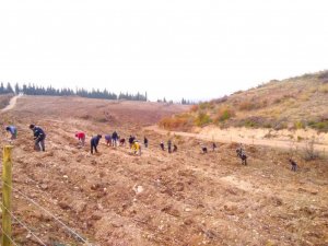 Aras Kargo’dan fidan seferberliği