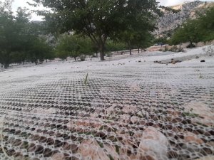 Dut bahçeleri rengarenk