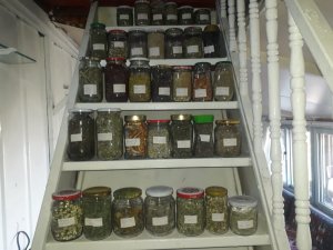 Dağ evini tıbbi ve aromatik bitkiler müzesine dönüştürdü