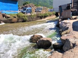 Çatalağzı’ndaki kirliliğin nedeni ÇATES değil