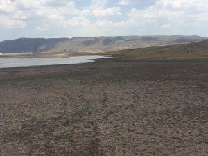 Kuraklık Bingöl’ün içme suyunu yüzde 32 azalttı, başkan tasarruf çağrısında bulundu