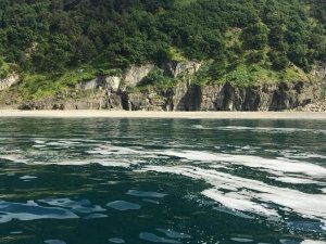 Zonguldak Valiliğinden denizde oluşan kirlilik ile ilgili açıklama