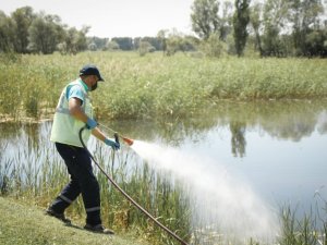 Yedi Göller ilaçlandı