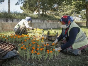 Kütahya’da 17 bin çiçek toprakla buluşuyor
