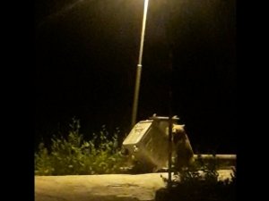 Uludağ’da ayı ailesinin renkli görüntüleri...Köpeği böyle kovaladı