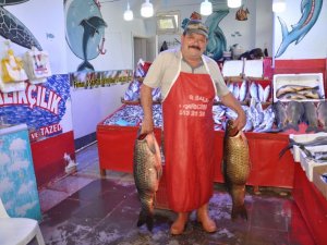 Yahnilik sazan balığına yoğun ilgi