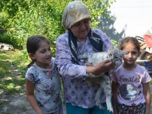 Sağlığına kavuşan kedisini kucağına alınca dünyalar onun oldu