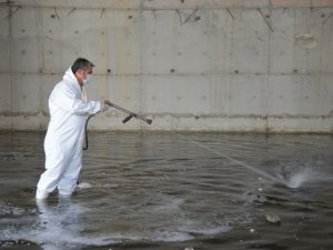 Altıeylül’de ilaçlama seferberliği hızlandı