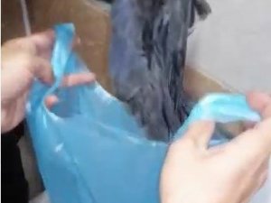 Havalandırma boşluğunda mahsur kalan yavru kargalar kurtarıldı