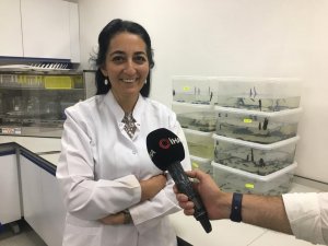 ERÜ’de yerli Covid aşısından sonra kanser ilacında da faz çalışmaları başlayacak