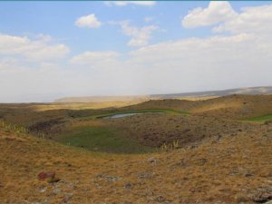 Erzurum’da ‘kesin korunacak hassas alan’ kategorisine bir yenisi eklendi