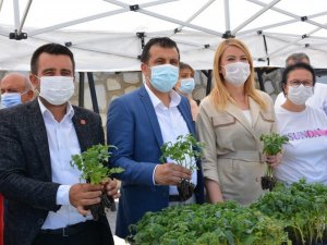 Kardeş belediyelerden vatandaşa fide dağıtımı