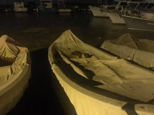 Kınalıada’da görülen su samuru vatandaşların ilgi odağı oldu