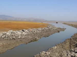 Marmara kuruyor, canlılar ölüyor