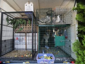 Gaziantep Hayvanat Bahçesi yeni misafirlerini ağırlamaya başladı