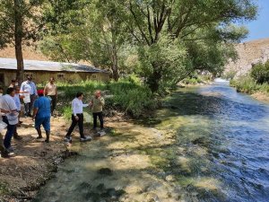 Hurman Çayı’na kırmızı benekli alabalık bırakıldı