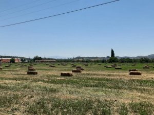 Germencik, kırsal kalkınma hamlesini sürdürüyor