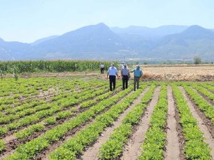 “Ayşehanım” yer fıstığı demonstrasyon çalışması