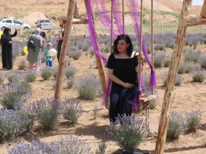Kırşehir’de lavanta festivali düzenlendi