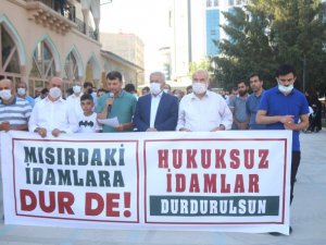 Mısır’da darbe karşıtlarının idam edilmesi Van’da protesto edildi