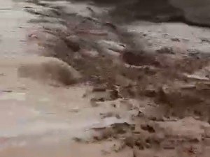 Konya’da etkili olan yağmur hayatı olumsuz etkiledi