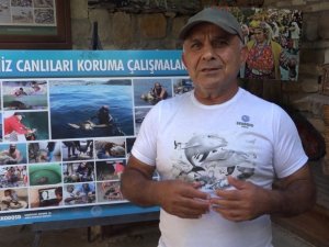 Büyük Menderes’te toplu balık ölümleri tedirgin ediyor