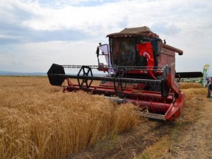 Tarla Günü’nde binlerce dekar hububatın hasadına başlandı