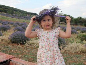 Isparta’da doğal mor stüdyolarda şölen başladı