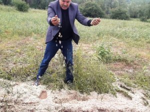 Tokat’ta dolu yağışı tarım arazilerini vurdu