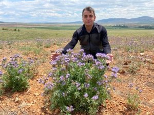 Pusan köyünde bal ormanında çalışmalar tamamlandı