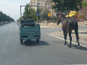Atı araca bağlayıp çektiler