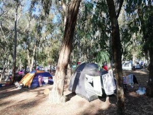 Ada Campıng, tatilcilerin yeni gözdesi oldu