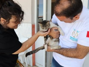 Nazilli’de can dostlar yalnız bırakılmıyor