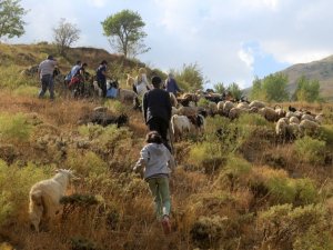 Sağlıkçılar dağ bayır demeden patikaları aşarak aşı yapıyor