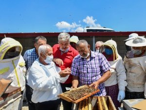 Türkiye Arı Yetiştiricileri Merkez Birliği Başkanı Şahin; “Eğitim olmazsa olmazımızdır”