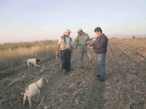 Av sezonu başlıyor
