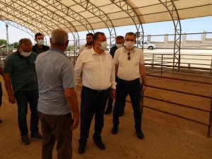 Ramazan, Kurban Pazarını denetledi