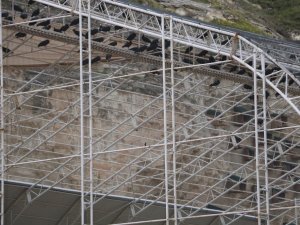 Kelaynak sayısı rekor kırdı