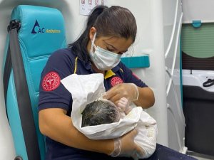 Dünyaya gözlerini ambulansta açtı