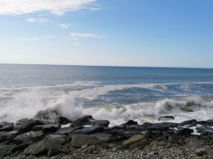 Marmara Denizi’nde görülen müsilaj Rizelileri tedirgin ediyor