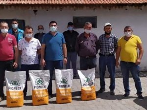 Aslanapa’da yılda iki kez mısır hasadı yapılacak