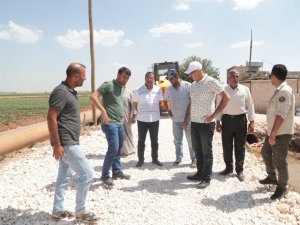 Kuş yol yapım çalışmalarını yerinde inceledi