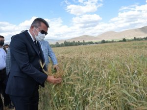 Vali Memiş: “Elleri nasırlı amcalarımız, teyzelerimiz televizyondaki sanatçılardan daha değerli”