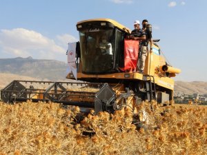 Şırnak’ta ilk defa ekilen aspirin hasadı yapıldı
