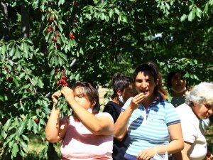 Belediyenin meyve bahçeleri Engelsiz Yaşam Merkezi öğrencilerini ağırladı