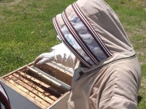 Sel felaketi arıcıları da vurdu