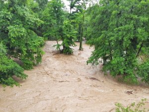 Kdz. Ereğli’de sel dükkanları vurdu