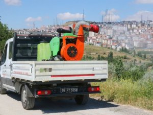 Başkent’te bayram öncesi ilaçlama